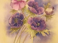 Anemones.jpg