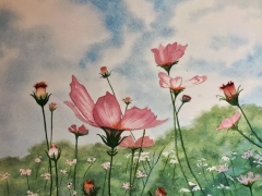 Cosmos Field by Julie Iveson - watercolour