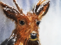 Snow deer - Watercolour