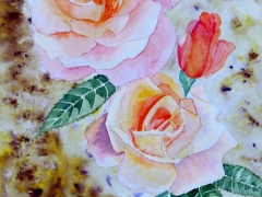 Summer Rose.JPG