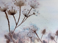 Teasles - Watercolour