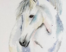 White-horse