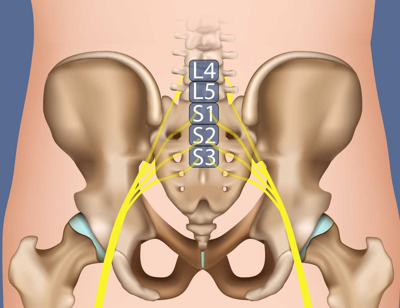 What Vitamin Helps With Sciatic Nerve Pain